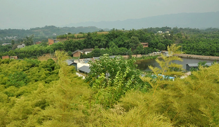 璧山区丁家养老院