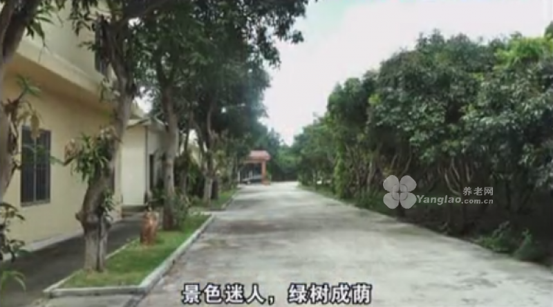 阳江市海陵岛绿康颐养院的实拍图片