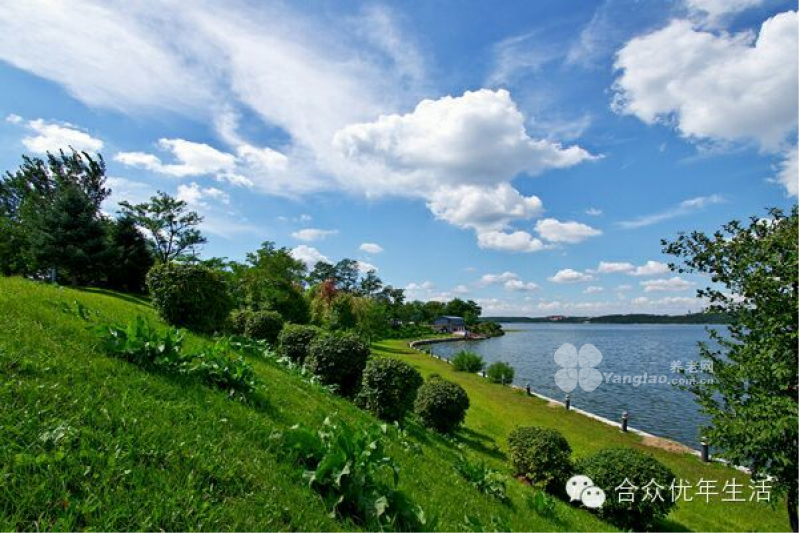 沈阳合众优年生活养老社区的实拍图片